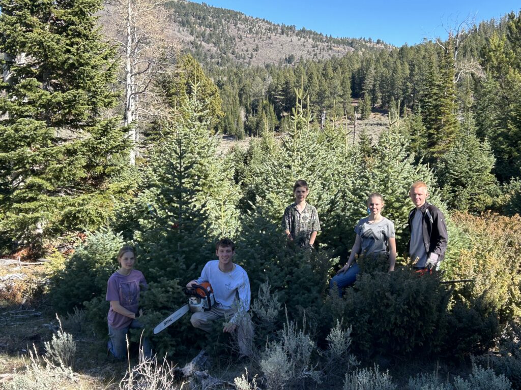 img 2035 (1)