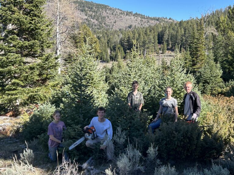 img 2035 (1)